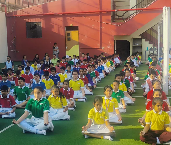 Join Seedling Schools